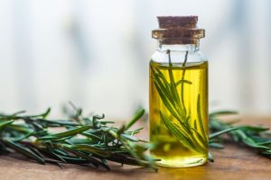 8 benefícios do alecrim para a saúde e como utilizá-lo