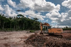 Desmatamento cai em todos os biomas; Amazônia tem redução recorde e Cerrado ainda lidera devastação