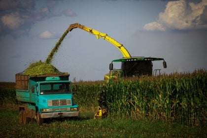 PIB do Brasil cresce 1,4% no primeiro trimestre de 2025, diz IBGE