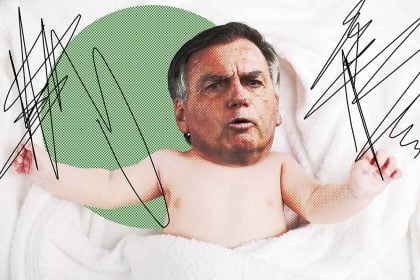 Novilhos reborn