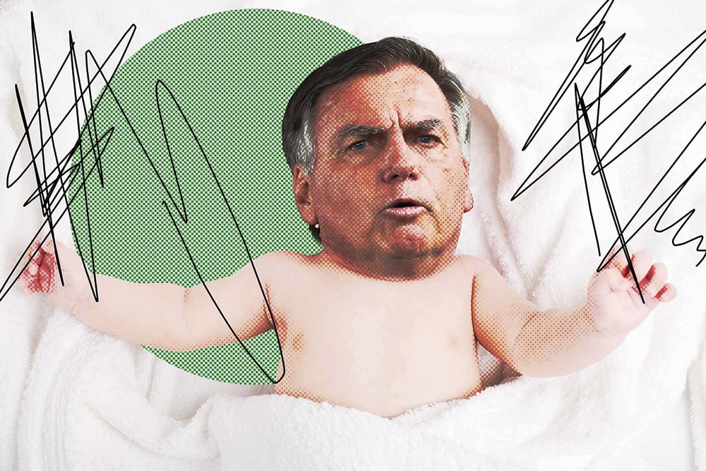 Novilhos reborn