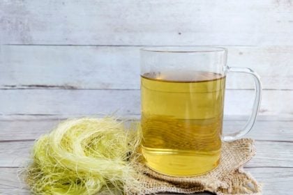 5 chás caseiros para melhorar a saúde dos rins