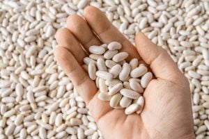 7 benefícios do feijão-branco para a saúde
