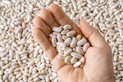 7 benefícios do feijão-branco para a saúde