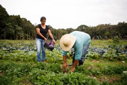 Rodadas de negócios aproximam produtores rurais de compradores internacionais na Expointer