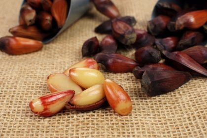 9 receitas de festa junina para fazer na air fryer