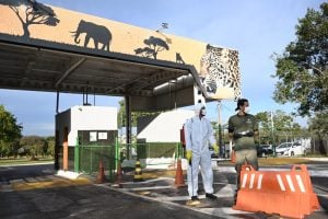 Brasília confirma caso de gripe aviária em zoológico
