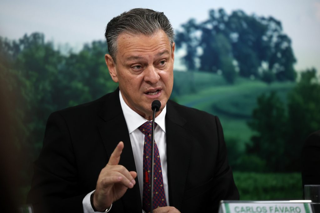Brasil se declara livre da gripe aviária e impõe fim do 'vazio sanitário'