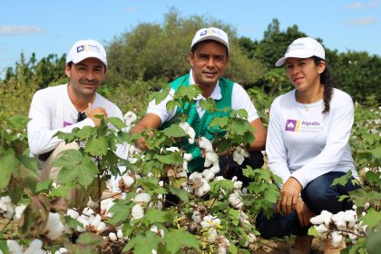 Como a agricultura familiar investe em práticas para manter a renda, conservar a Caatinga e se adaptar às mudanças climáticas