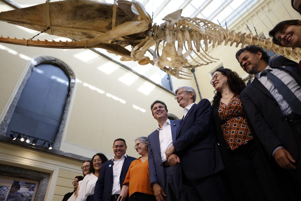 Museu Nacional do Rio reabre para exposição 7 anos após incêndio