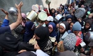 Todas as mães pensam em Gaza