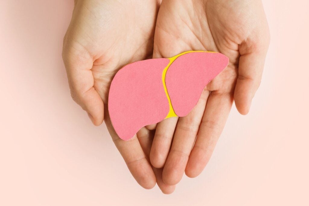 Veja as causas e como prevenir a gordura no fígado