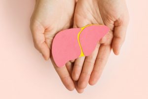 Veja as causas e como prevenir a gordura no fígado