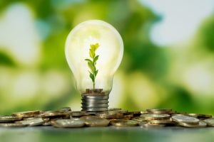 Nordeste recebe R$ 10 bilhões para financiar energia verde e atrair indústria limpa