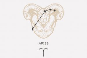 Horóscopo do dia: previsão para os 12 signos em 14/06/2025