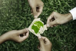 Meio ambiente é um dos temas menos buscado por brasileiros em 2025