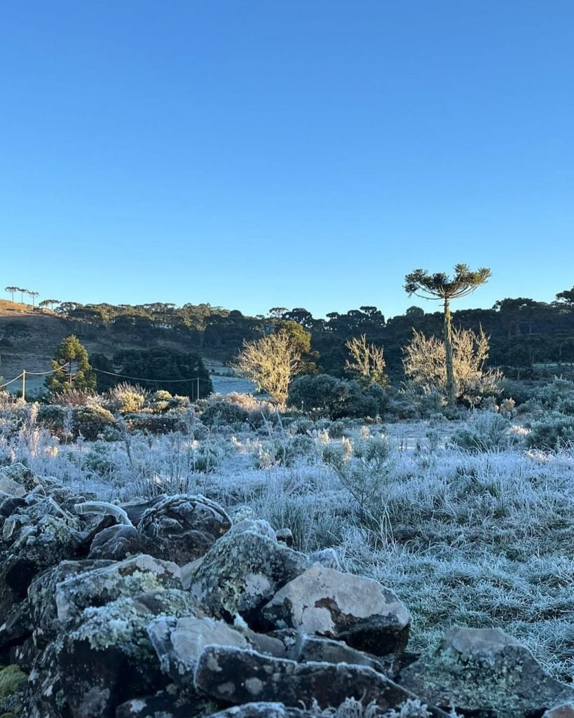 Cidade em SC tem sensação térmica de 29 ºC negativos
