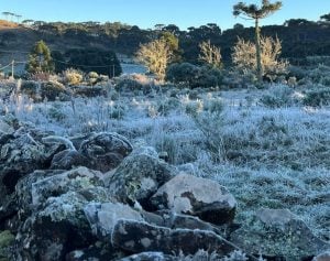 Cidade em SC tem sensação térmica de 29 ºC negativos