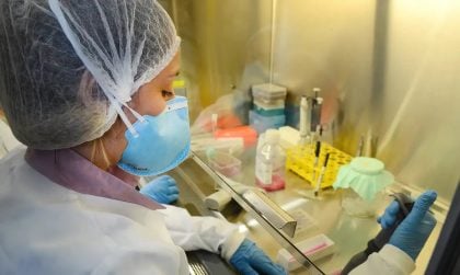 USP: pesquisa de vacina contra Zika avança em testes com camundongos
