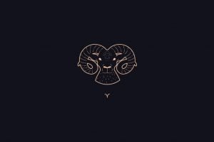 Confira a combinação amorosa de Leão com os 12 signos