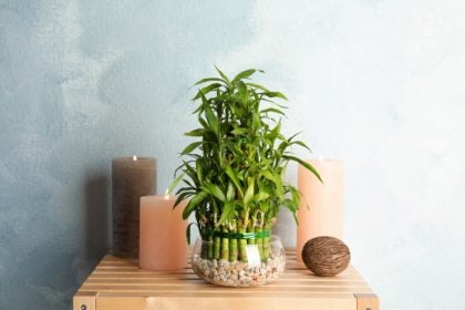 5 dicas para atrair energia positiva para a sua casa