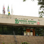 Butantan produzirá remédio contra câncer para o SUS