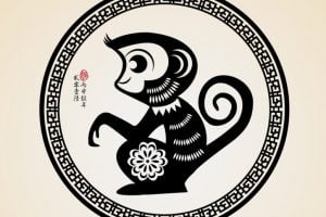 Confira as características do Macaco no Horóscopo Chinês