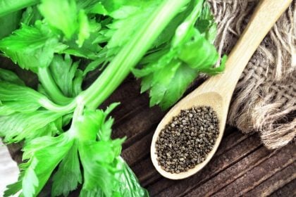 5 benefícios do aipo para a saúde e como inserir na dieta