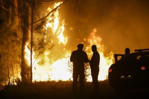 Portugal decreta alerta geral contra incêndios em meio à onda de calor extremo