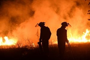 Incêndios florestais se intensificam na Europa; Espanha registra vítimas fatais