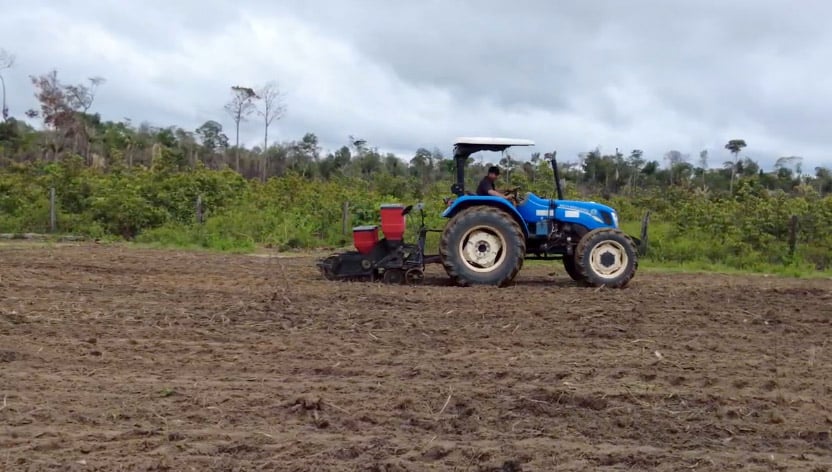 ‘Roça sem fogo’ melhora produção agrícola em comunidades rurais e indígenas do Pará