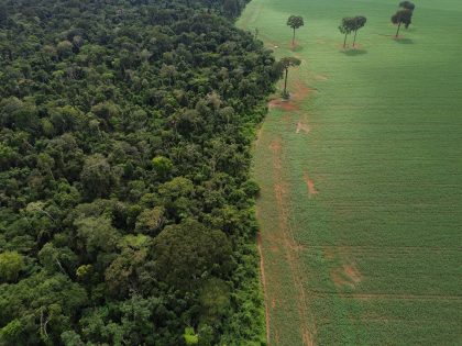 O que está por trás da decisão que libera a soja sobre a Amazônia