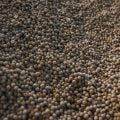Brasil atinge novo recorde com 350 milhões de toneladas de grãos