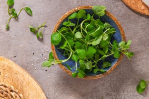 8 vegetais verdes-escuros que ajudam a prevenir doenças