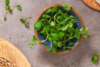 8 vegetais verdes-escuros que ajudam a prevenir doenças