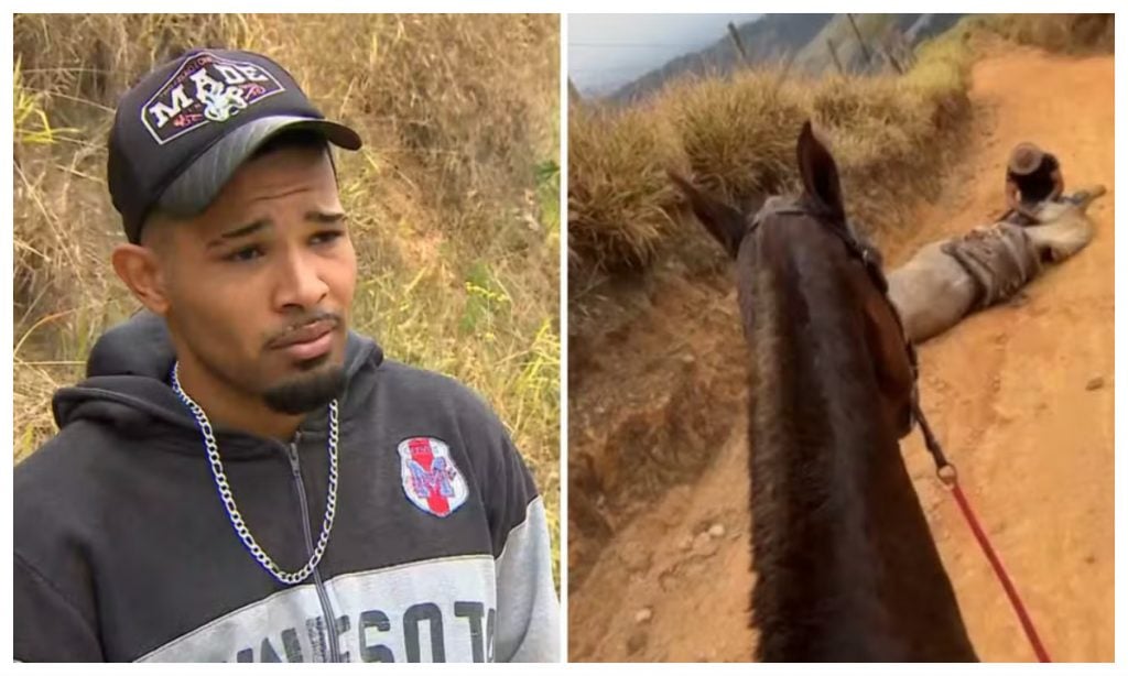 Cavalo que teve as patas mutiladas a facão ainda estava vivo, conclui a polícia