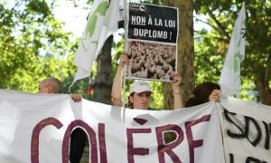 Tribunal superior da França veta reintrodução de pesticida polêmico