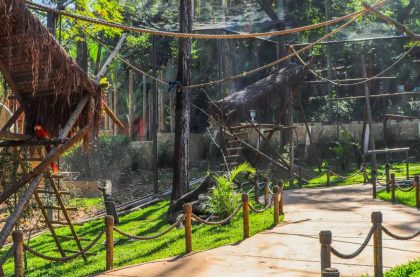 Zoológico do Rio reabre ao público nesta quinta após mortes de aves