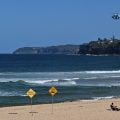 Homem morre em praia de Sydney após ataque de ‘grande tubarão’