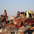 Ofensiva israelense em Gaza deixa centenas de milhares de palestinos sem opções de fuga
