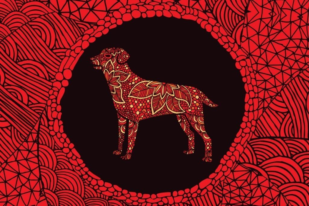 Veja as características do signo do Cachorro no Horóscopo Chinês