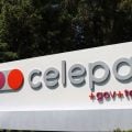 TCE-PR suspende a privatização da Celepar, empresa de gestão de dados do Paraná