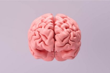 8 benefícios da beterraba para a saúde