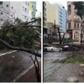 Mais de 175 mil continuam sem luz em São Paulo após chuvas e rajadas de vento