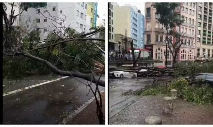 Mais de 175 mil continuam sem luz em São Paulo após chuvas e rajadas de vento