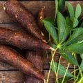 5 benefícios da mandioca para a saúde
