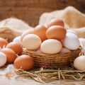 6 mitos e verdades sobre o consumo de ovo