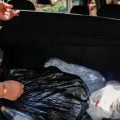 Força-tarefa apreende 117 garrafas de bebida sem procedência em SP