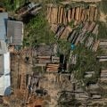 Desmatamento desacelera no mundo, mas ainda se propaga rápido no Brasil, alerta FAO