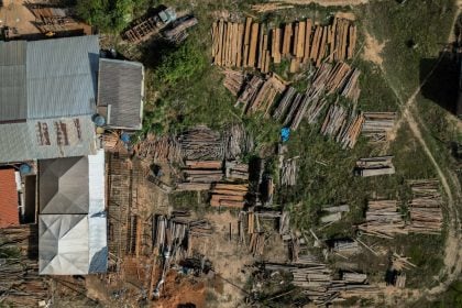 Desmatamento desacelera no mundo, mas ainda se propaga rápido no Brasil, alerta FAO